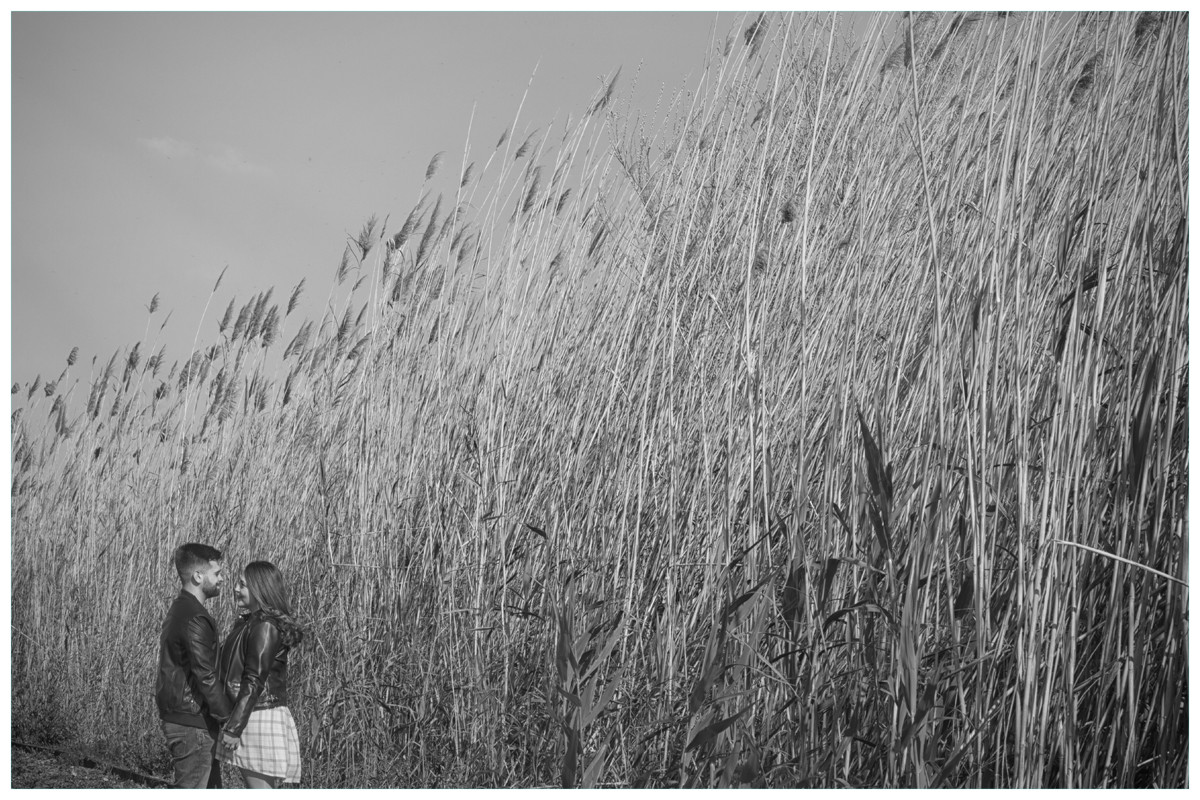 web_02